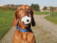 Leben, Lieben, Lachen - Hier! - Wuppertal