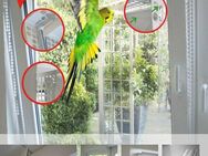 Kippfensterschutz für Vögel, OHNE BORHEN, OHNE KLEBEN, SYSTEM 4 - Haan