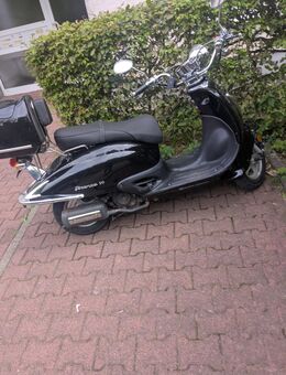 Alpha Motors Firenze 50 - Korbach (Hansestadt)