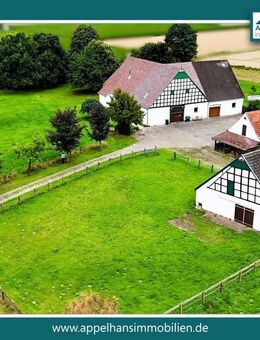 Resthof mit Stall und Weidefläche - Viel Platz auf eigenen Pferdehof - Lübbecke