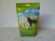 Schleich FARM WORLD 42423 Pony Stute und Fohlen NEU und OVP - Recklinghausen