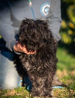 Kristoffer - Marsberg