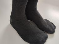 Stinkesocken von ihm - Kassel