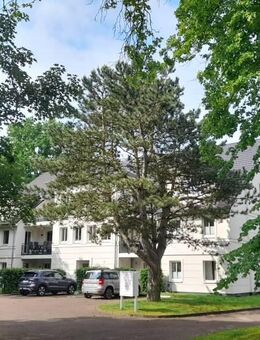 Attraktive Ferienwohnung im Ostseebad Nienhagen - Nienhagen (Mecklenburg-Vorpommern)