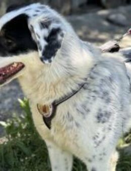 Schreibst du mit an Fleckis Happy End? - München