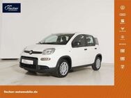 Fiat Panda, 1.0 GSE Hybrid, Jahr 2024 - Pilsach