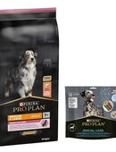 14 kg PURINA PRO PLAN Adult + 426 g Dental Care Snack für große Hunde gratis! - Medium Everyday Nutrition in 00000