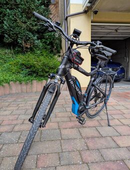 Herren Pedelec Haibike - Königsfeld (Rheinland-Pfalz)