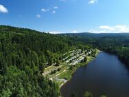 Eine Frau mit mir 7Tage Urlaub machen - Lahr (Schwarzwald)