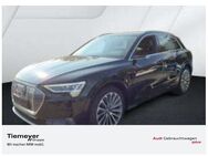 Audi e-tron 50 LM21 V-SPIEGEL AHK BuO KONTURSITZE PANO 360 - Plettenberg