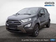 Ford EcoSport C & C 1.0L KLIMA SITZHEIZUNG - Halle (Saale)