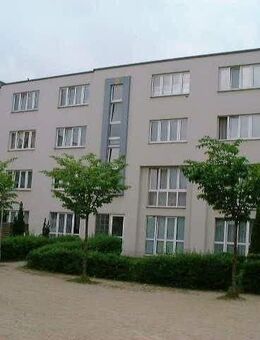 3 Zimmer-Wohnung in Baumheide / WBS erforderlich - Bielefeld
