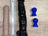 Dildos abzugeben, unbenutzt - Walsrode