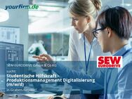 Studentische Hilfskraft - Produktionsmanagement Digitalisierung (m/w/d) - Graben-Neudorf