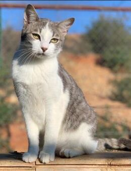 NUR- LOTUS - wartet noch.......... - Kempen