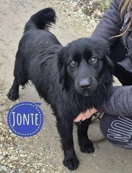 Jonte - pure Lebensfreude - Flörsheim-Dalsheim