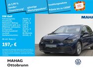 VW Golf, 1.0 VIII eTSI Life AppConnect, Jahr 2021 - Ottobrunn