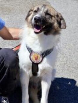 Hallo, ich bin Joschka. - München