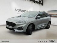 Ford Kuga, ST-Line X, Jahr 2023 - Landshut