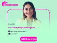 IT - Senior-Projektmanager (m/w/d) Schwerpunkt Krankenhausumfeld - Düsseldorf