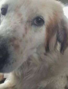 Anabel - eine bessere Zukunft. Jetzt. - Mettmann