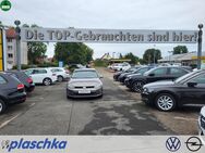 VW Golf, 1.2 TSI VII Cup ACA Multimedia, Jahr 2015 - Munster