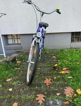 Damen-/ Cityfahrrad Ragazzi Walker - gepflegt & fahrbereit - Mülheim (Ruhr)