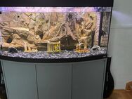 Aquarium 260 Liter mit Filter/Pumpe - Berlin Mitte