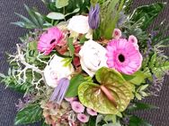 Florist sucht Arbeit - Düsseldorf