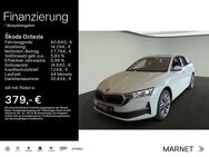 Skoda Octavia, 2.0 TDI Combi TOUR, Jahr 2022 - Heidenheim (Brenz)