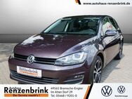 VW Golf VII Lounge TSI Xenon 17" Plus-Paket Busines - Bramsche