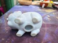 Sparschwein und - Stralsund