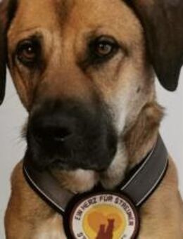 Its Toni-Time! - München