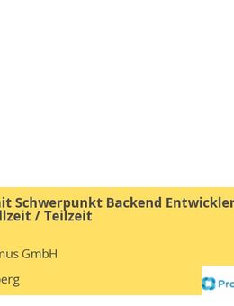 Fullstack mit Schwerpunkt Backend Entwickler (m/w/d) Vollzeit / Teilzeit - Niedernberg