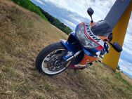 Verkaufe mein Motorrad der Marke Honda fireblade 900 RR - Elxleben (Landkreis Sömmerda)