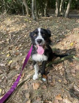 Zozo möchte viel erleben - Nordwalde