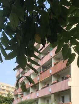 3-Raum-Wohnung mit Balkon ab sofort verfügbar - Olbersdorf