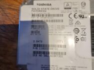 TOSHIBA Festplatte 3.84TB - Düsseldorf