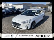 Ford Focus, 1.5 EcoBoost Titanium, Jahr 2019 - Bad Berleburg