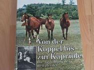 Von der Koppel bis zur Kapriole. Die Ausbildung des Reitpferdes - Kempten (Allgäu)