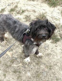 Mathilda will mit dir durchs Leben gehen - Paderborn