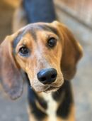 MEZZI auf Körbchensuche in 69207