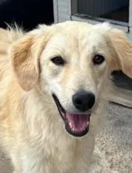 CIPRIA - ein armes Würmchen - Regensburg