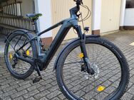 E-Bike Cube Reaction Hybrid Pro 625 Allroad - Essen