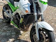Suzuki GSR 600 grün/weiß sehr gepflegt - Gardelegen (Hansestadt)
