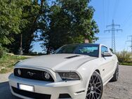 Ford Mustang GT Premium - Geiger Performance Cars Shelby Sport - Leonberg (Baden-Württemberg)