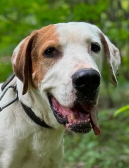 GRAY- menschenbezogen und sozial - Mainhardt