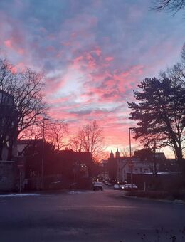 `Mas Special´ MagnetfeldMatte + Steuergeraet - Göttingen