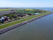 Eine Perle direkt am Nordseedeich 3-Zimmer ETW/Ferienwohnung auf Nordstrand - Nordstrand