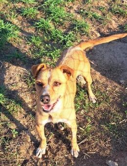 Kleine -Melanie- sucht ihr Plätzchen - Altfraunhofen